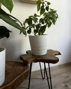 Set di 2 tavolini CAMROSE Legno di teak Marrone scuro