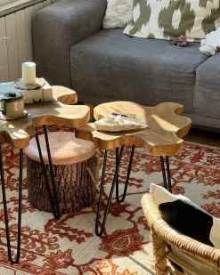 Set di 2 tavolini CAMROSE Legno di teak Marrone scuro