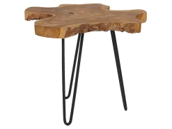 Set di 2 tavolini CAMROSE Legno di teak Marrone scuro