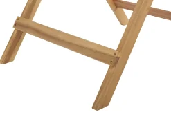 Set bistrot Pieghevole TERNI Legno d'acacia Marrone