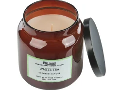Set di 2 Candele Profumate ABSOLUTE ALCHEMY Cera di Soia Note fresche