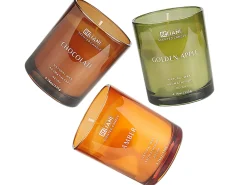 Set di 3 Candele Profumate SHEER JOY Cera di Soia Note fruttate Note fresche