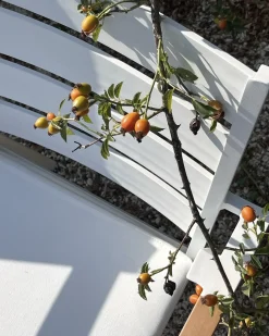 Set di 6 sedie da giardino TAVIANO Metallo Bianco