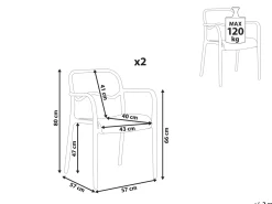 Set di 2 sedie da giardino THASOS Materiale sintetico Rosa pastello
