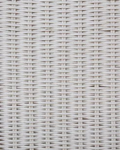 Set di 2 sedie da pranzo ANDES Rattan Bianco