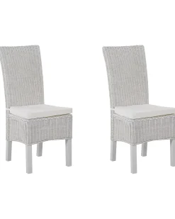 Set di 2 sedie da pranzo ANDES Rattan Bianco