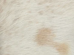 Sgabello KENT Pelle naturale Marrone dorato
