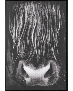 Stampa su tela GALEATA Motivo animale 63 x 99 cm Nero