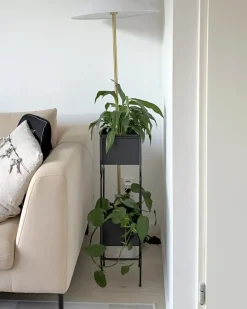 Supporto per vasi COTINUS Metallo 20 cm Nero