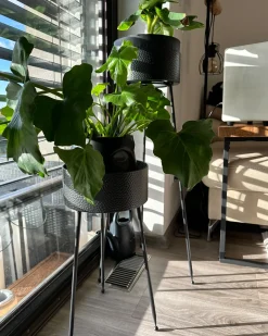 Supporto per vasi LEIKA Metallo 29 cm Nero