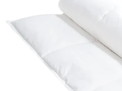 Trapunta Piumino d'anatra Extra caldo GRIVOLA 220 x 240 cm