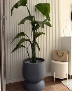Vaso per piante ARAUCARIA 42 cm Grigio
