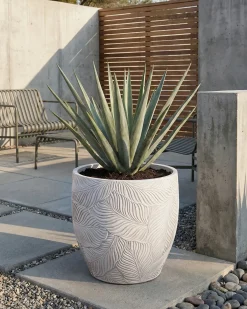 Vaso per piante BAIYUN 42 cm Beige chiaro