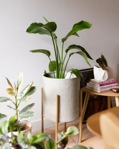 Vaso per piante rialzato AUBRIETA Metallo 31 cm Grigio