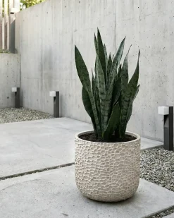 Vaso per piante YUHUA 43 cm Beige chiaro